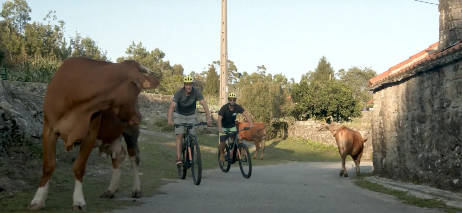 E-Bike Wild Tour — City, Mountain & Coastal Trails – image 6