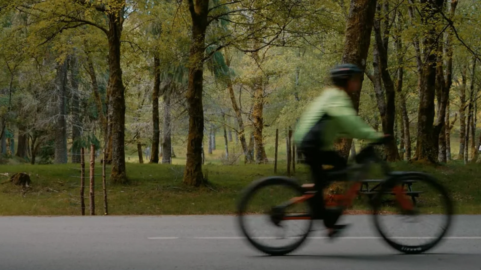 E-Bike Wild Tour — City, Mountain & Coastal Trails – image 17