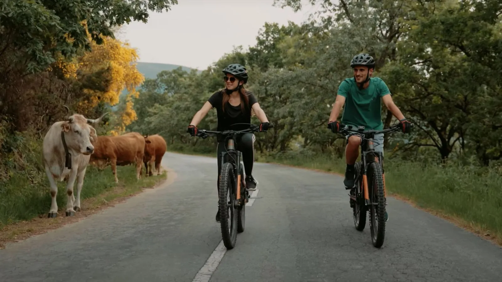 E-Bike Wild Tour — City, Mountain & Coastal Trails – image 18