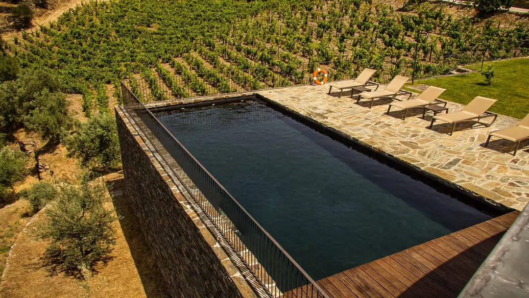 Quinta Vale das Papas – luxury villa in Douro Valley, Portugal – image 2
